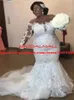 Sheer Long Sleeves Lace Plus Size Afrikanska Bröllopsklänningar Mermaid 2019 Sexiga Mesh Top Appliqued Beaded Bridal Gowns Custom Vestidos de Novia