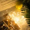 LED-snaren 2M Koper Zilver Draadverlichting Batterij Fairy Light Firefly Lights voor Kerstmis Halloween Home Party Bruiloft Decoratie EUB