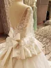 2019 New Arrival Luxurious Wedding Dresses Sheer Bateau Neck V Back Lace up Pearls Bead Appliques Bridal Gowns with Sheer Sleeves