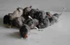 real rabbit fur mouse for cat toys mouse with sound high quality 1pc mix color