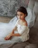 Белый Кот бальное платье девушки цветка для свадьбы Тюль принцесса кружева Половина рукава Святой первого причастия Gowns