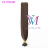 Vmae brazylijskie włosy # 1b # 2 # 4 100g 1g / Strand 14-26 cal Dwuosobniony Prosto I Wskazówka Wstępnie Bull Human Hair Extensions