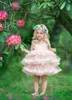 Blush Rose Belle Fleur Filles Robes Col En V À Manches Courtes À Volants En Dentelle Fille Pageant Robes Puffy Tutu Mini Robe D'anniversaire