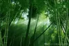 Custom any size bamboo 3d wallpaper mural