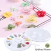 Nail Art Decorations 1 Wheel Dried Flower 3D Decoration Gradient Natural Flowers Sticker For UV Gel Polish Manicure Accessories Tip LY1524-1