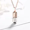 Mode-pil Ketting S925 Sterling Zilver Liefde Antidote Dames Sleutelbeen Ketting