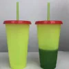 Tazza staccabile in plastica Cambia pagine a colori Bottiglie d'acqua Bicchieri isolati Protezione termica Tazza d'acqua portatile con cannuccia 3 colori RRA1751