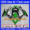 Injektion för Kawasaki ZX3R EX300 2013 2014 2015 2016 2017 202MY.0 ZX 300R ZX-300R ZX-3R EX300R ZX300R 13 14 15 16 17 Fairing Factory Green