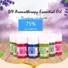 New Water-soluble Oil Essential Oils for Lavender Oil Humidifier Oil with 12 Kinds of Fragrance Rose