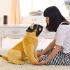 simulatie dier pug puppy gevulde pop schattige realistische hond speelgoed voor kinderen verjaardagscadeau decoratie 28 inch 70cm dy50739