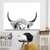 Svartvit Highland Cow Cattle Canvas Art Nordiska målningar Affisch och tryck Skandinavisk väggbild för vardagsrum3178493