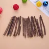 Katze Reinigung Zähne Natürliche Katzenminze Haustier Katze Molaren Zahnpasta Stick Matatabi Actinidia Obst Silvervine Katze Snacks Sticks Spielzeug