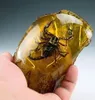 Oriental Vintage Handwork Natural Amber Scorpion Staty