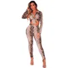 Tweedelige jurk Leopard Snake Print Set Women Fall Clothes Sexy Club Outfits Lange mouw Crop Top Pant 2 Matching
