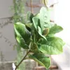 5pcslot artificiel magnolia leaf exportation fausse fleur fleur fleur intérieure de plante verte simulation fleurs décor intérieur feuilles décoratives h165498271
