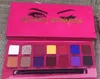 Hot Makeup Palette 14colors do shimmer paleta Matte sombra de alta qualidade por Epacket