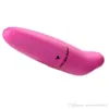 Mini Dolphin bala vibrador bateria à prova d 'água G Spot Massagem, vibrando ovo, produtos do sexo para as mulheres