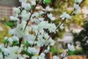 65 cm Uzun Yapay Kiraz Bahar Erik Şeftali Çiçeği Şube Ipek Çiçek Ağacı Düğün Parti Süslemeleri Için Malzemeleri