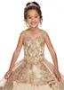 2022 Champagne Hot Puffy Flower Girls Robes Jewek Dentelle Appliques Cristal Perlé Princesse Robe De Bal Corset Retour Anniversaire Filles Communion Pageant Robes