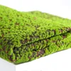 1 * 1m fundo Artificial Lawn Moss Mat Plant Simulation parede Moss Turf Turf Artificial indoor decoração de janelas Props