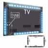 5050 DC 5V RGB LED 스트립 방수 60L / M USB LED 라이트 스트립 유연한 네온 테이프 4 * 50cm TV 배경을위한 원격 추가