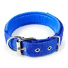 Super comfortable pet collar soft leather lined polypropylene pet foam collar out of the dog collars6389473