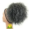 Zilver Grijs Menselijk Haar Poney Tail Haarsnikel Drawstring Dye Free Natural Hightlight Salt and Pepper Gray Hair Ponytail Afro Kinky Krullend voor Vrouwen
