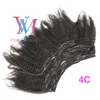 100% non trattato 100g 120g 140g 160g Afro Kinky Curly Straight 4A 4B 4C Clip In ins Virgin Remy Human Hair Extensions