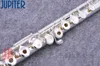 New JFL-711 RBES 17 Holes Open C Key Cupronickel Flute Silver Plated Concert Flute With Case Cleaning Cloth Stick Gloves Free Shipping