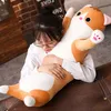 65 cm di lunghezza gatto cuscino peluche morbido cuscino peluche bambola sonno divano camera da letto arredamento kawaii bei regali per i bambini