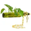 Creative Cutting Wine Bottle in Half Planter Glass Terrarium Flower Pot for Succulent Cactus Air Plant Alcohol Gifts