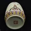 Vase creux sculpté à la main en porcelaine chinoise Famille rose W QianLong Mark S4351136417