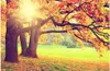 beau paysage fonds d'écran d'or automne or arbre fonds d'écran fond peinture décorative