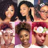 5 opakowań 8 cal Wand Curl Crochet Braids Włosy syntetyczne Jamaican Bunce Curls Szydełka Włosy Afryki Kędzierzawy Kręgowe Włosy Splatanie Dla Czarnych Kobiet