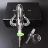 Kit Micro NC Kit Horn Horn Rura szklana 14mm Zestaw NC 4.0 Zestaw szklanych bongs do rur do palenia