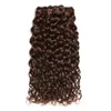 Molhado e ondulado castanho chocolate Humano Brasileiro Cabelo Weave Pacotes com fecho Dark Brown Water Wave 3Bundles com 4x4 Lace Encerramento 4pcs Lot