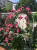 Nueva pérgola de hierro para jardín, soporte de flores, arco de Metal, marco de escalada verde, estante de lufa, estante de ratán de uva