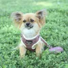Canvas Fabric Plaid Pattern Zichen Pet Dog Harness Terka Snack Bag Justerbar för små medelstora hundar och Cats96805973924009