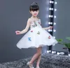 vestido 2020 borboleta novo verão da menina princesa das crianças coreano saia bordados super-ocidental malha saia tutu WY653