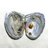 2019 rotondo Edison Pearl Oyster 9-12mm 16 colori della miscela Regalo di perle naturali Decorazioni di gioielli fai da te Confezione sottovuoto all'ingrosso Spedizione gratuita