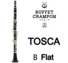 Nuevo clarinete de madera profesional Buffet Crampon TOSCA sándalo ébano clarinete profesional Bb estudiante modelo baquelita