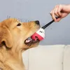 Cão molar brinquedo escova de dentes animal de estimação mastigar brinquedo animal de estimação cão alimento distribuindo dentes limpeza mastigar brinquedo cachorrinho morder brinquedos esferas de treinamento