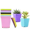 Flower Pot Square Plastic Planter Nursery Garden Desk Home Decor Candy Color With Tray Random Colors yq01962