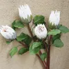 Falso Único Stem Protea Flower 22 "Comprimento Simulação Proteas Cynaroides para Casamento Casa Decorativa Flores Artificiais 8 Cores Disponíveis