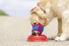 Maulkorb für Hunde aus Nylon – Anti-Beiß- und Bellen-Maulkorb für Hunde mit sicherer Passform – atmungsaktiver Hundemaulschutz aus Mesh für kleine, mittelgroße und große Hunde