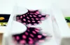 Nouveau 3D faux cils de plumes naturel faux cils bande cils Extensions de cils colorés pour la fête 6 couleurs