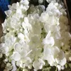 one Artificial Butterfly Orchid Flower Silk white blue green Phalaenopsis Orchid Cymbidium 31.5" for Home Party Wall Decorations