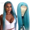 Malaysian Human Hair 13X4 Lace Front Wigs 12-28inch Straight Virgin Hair Wigs 13 By 4 Wig Grey Pink Blue Red Colorful Hair