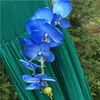 10 pezzi di branco di fiore di fiore di fiore di fiore decorativo Fallo Finole decorativo Fallo Fallo Flower per la casa Phalaenopsis artificiale per fiore decorativo