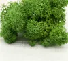 500G DIY Multicolor Moss Flowers Weters nooit verwelken Bloemmaterialen Microscopische bonsai voor thuisbasisfeest Decor XD20057